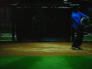 [Image: kittenroll.gif]